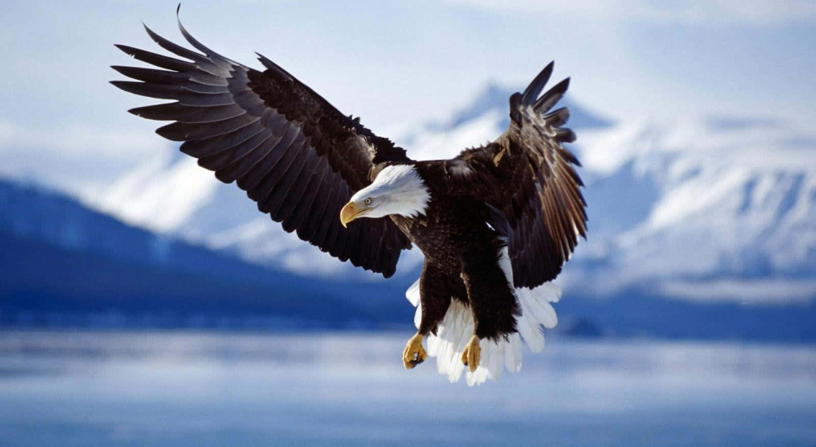 A Bald Eagle Flies Over A Lake With Mountains In The Background