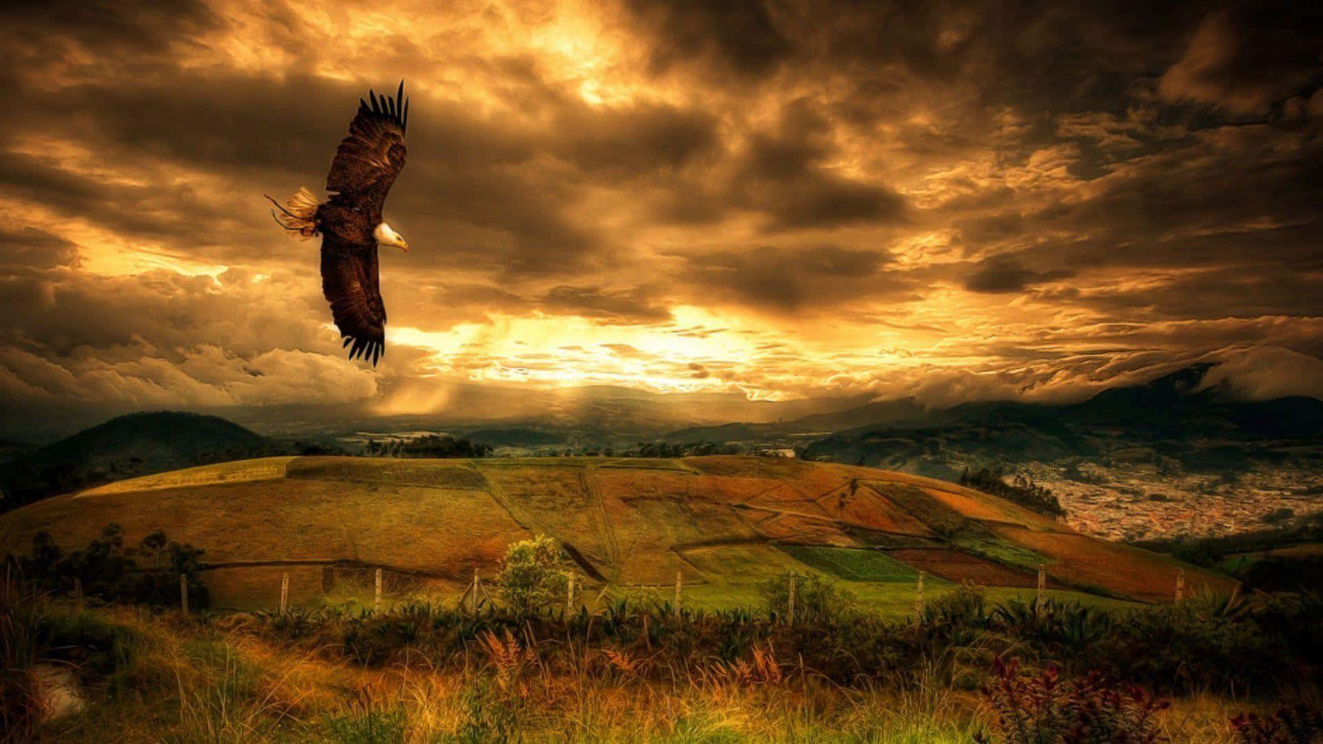 "Soar the Skies with the Noble Eagle"