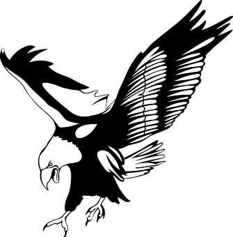 Eagle Silhouette Art PNG