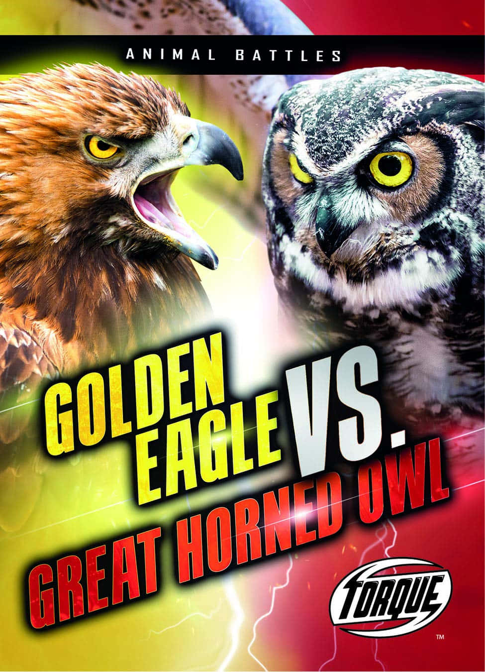 Eagle Vs Hawk Poster Picture