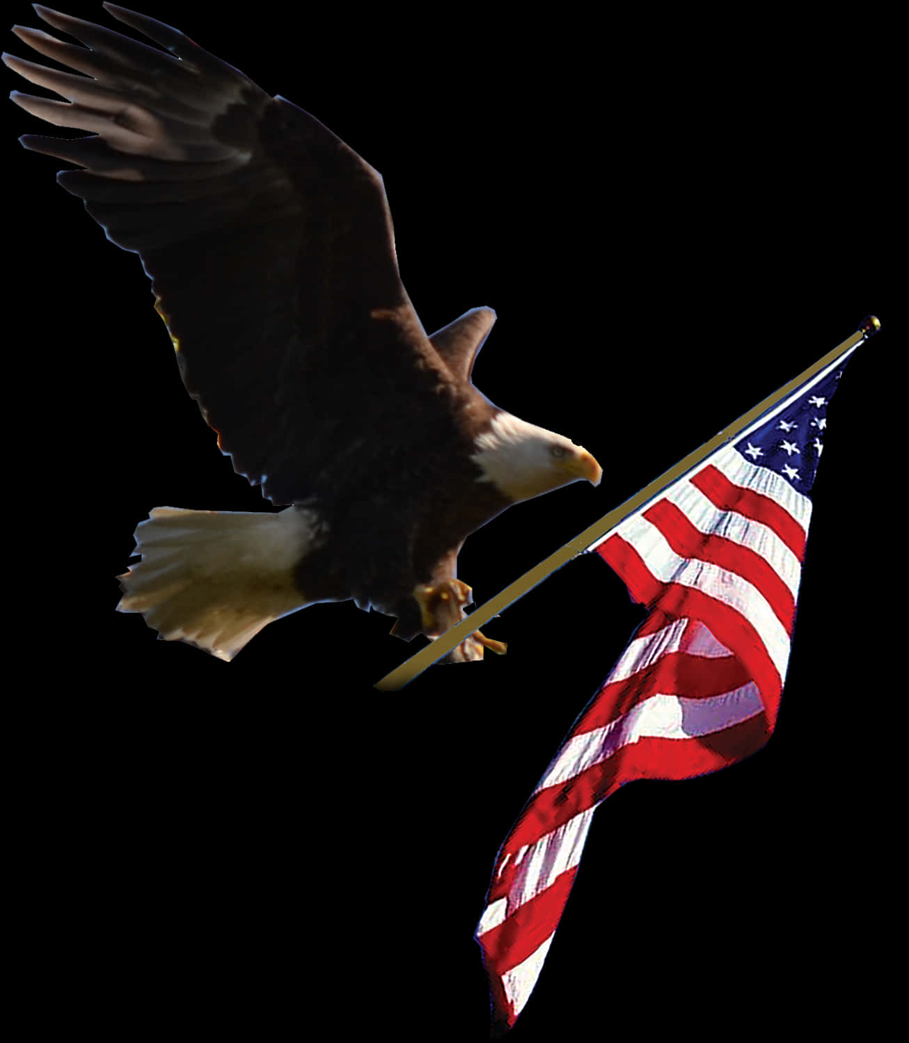 Bald Eagle With American Flag PNG