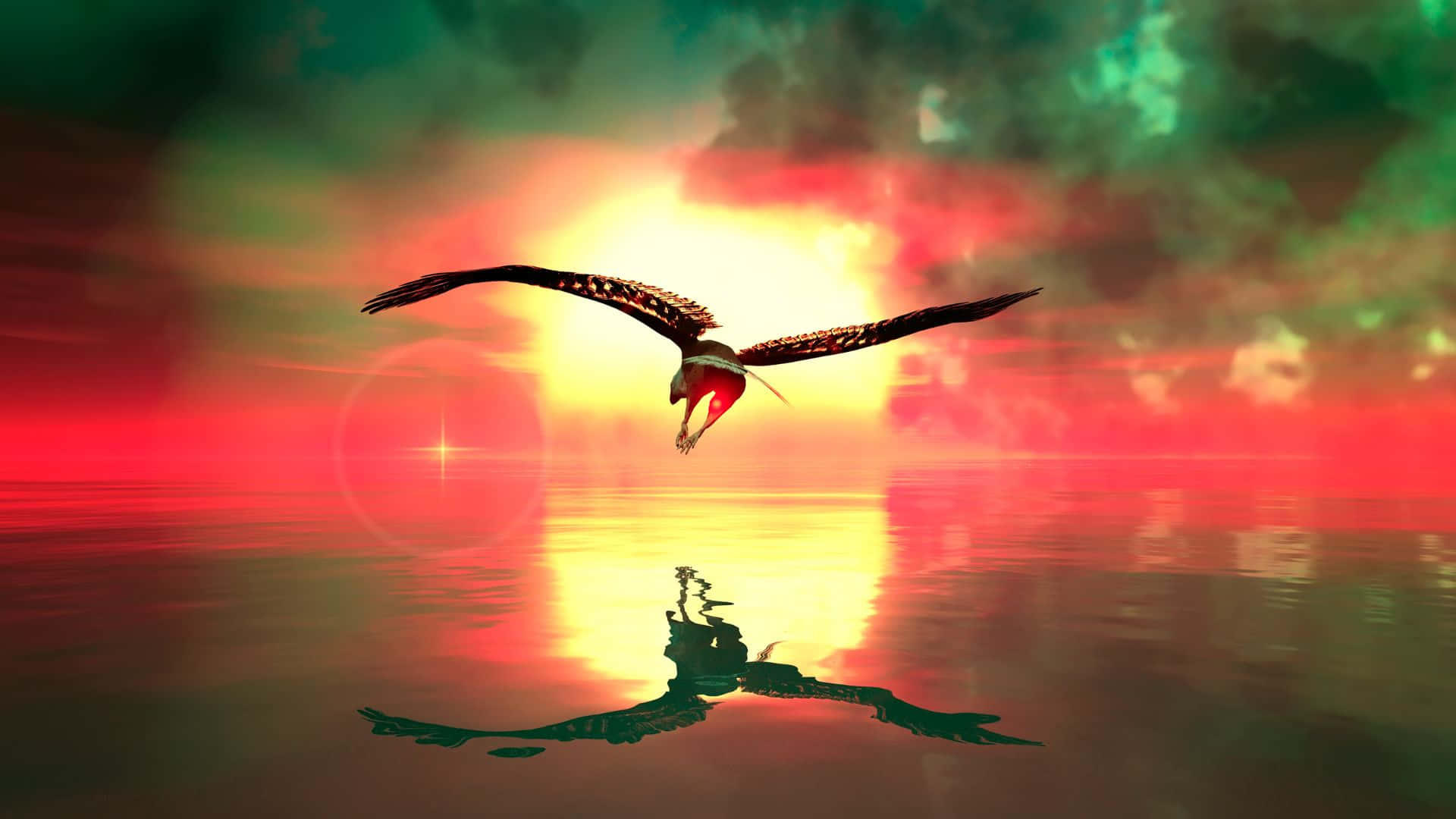 Enfågel Som Flyger Över Vattnet Vid Solnedgången