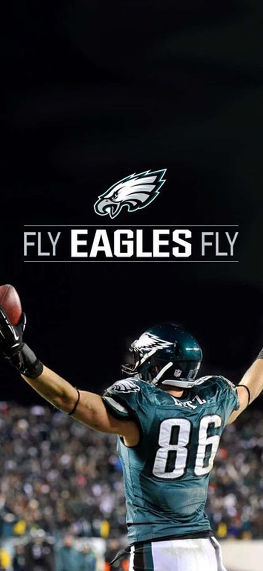 Eagles Football Fly Wallpaper