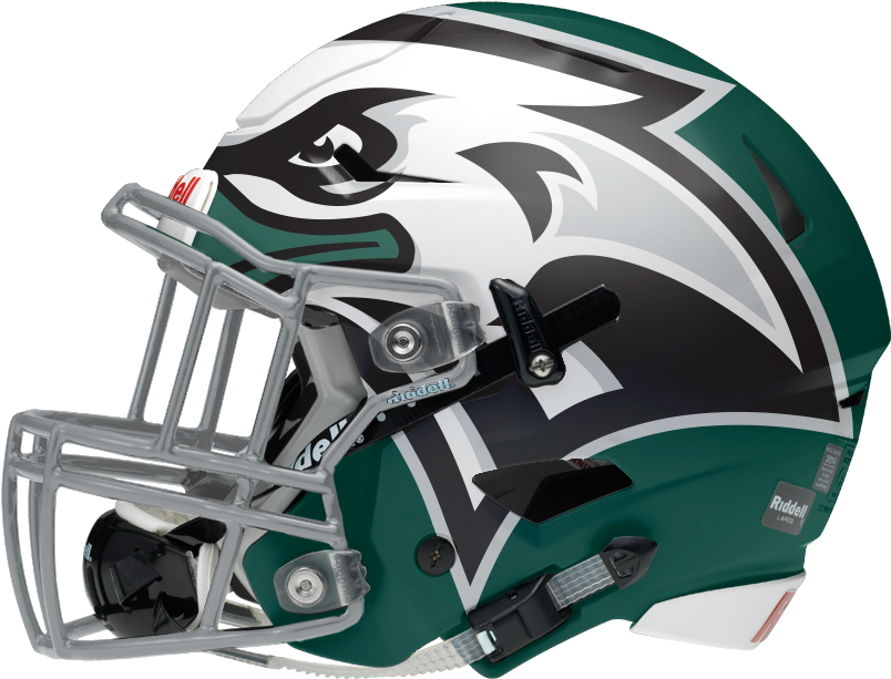 Eagles Themed Football Helmet PNG