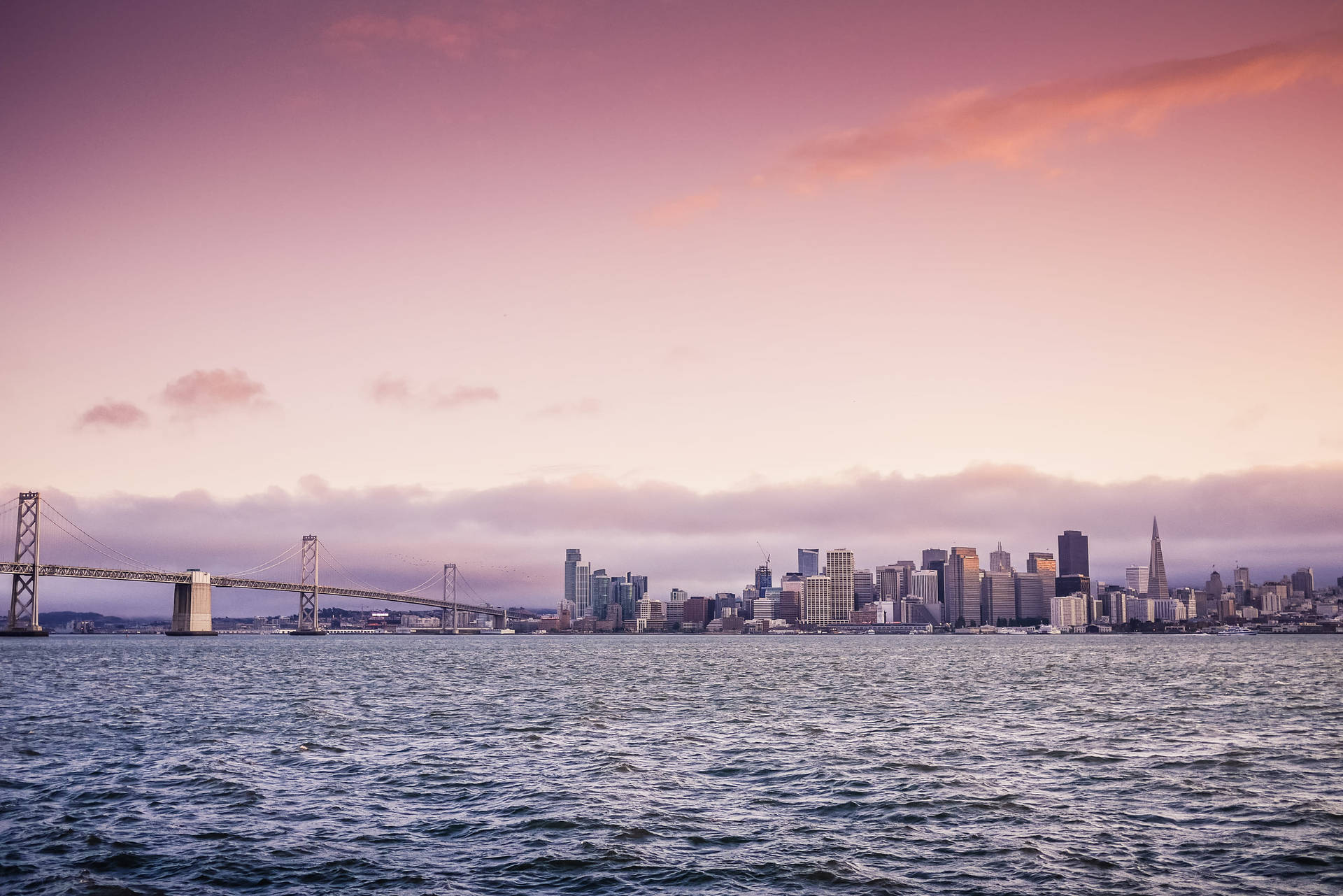 Early Evening San Francisco Skyline