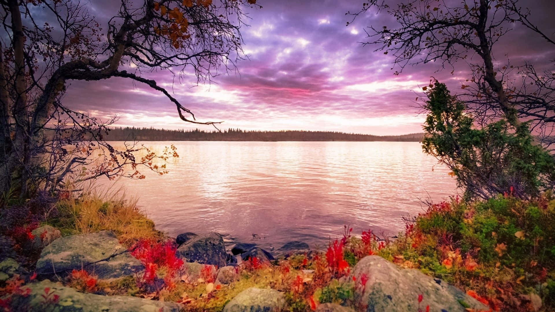 Einwunderschöner Sonnenuntergang Über Einem See Mit Bäumen Und Felsen. Wallpaper