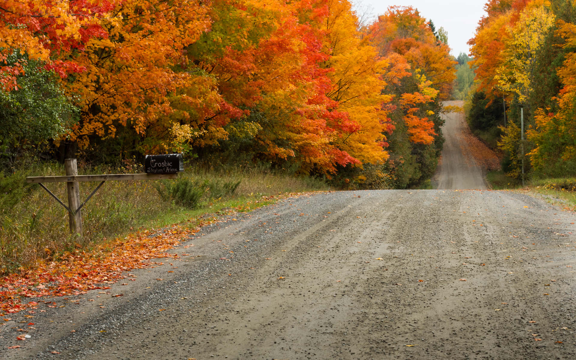 Dirt Road During Early Fall Wallpaper