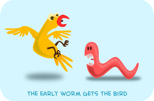 Early Worm Gets The Bird PNG