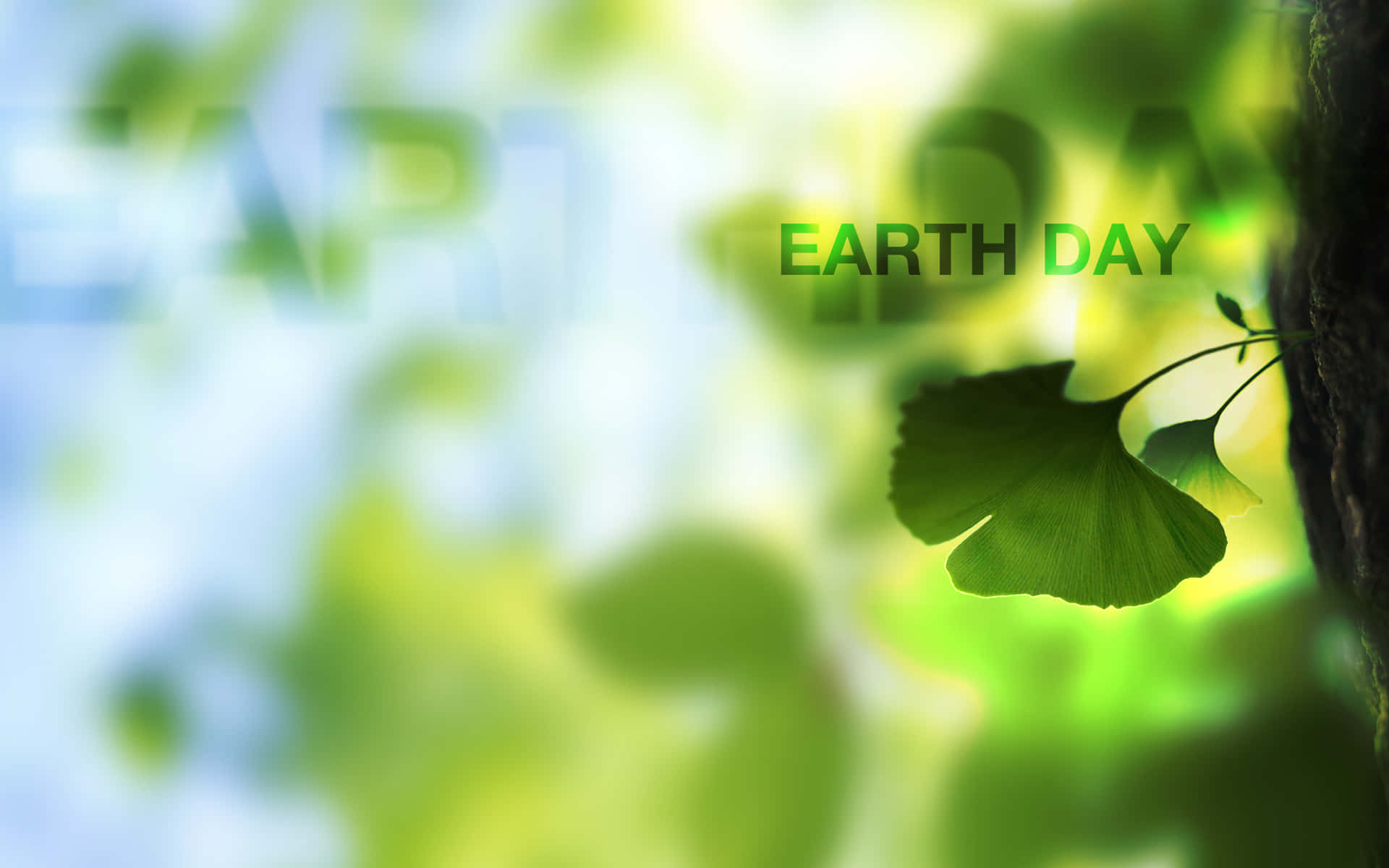 Celebrate each day like Earth Day; love, respect and protect our planet.
