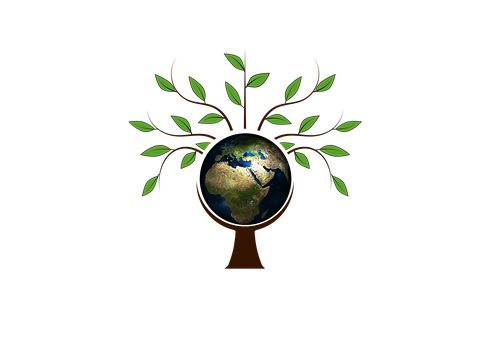 Earth Tree Concept Art PNG