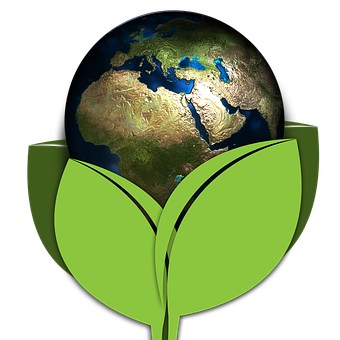 Earthin Green Leaves Concept PNG