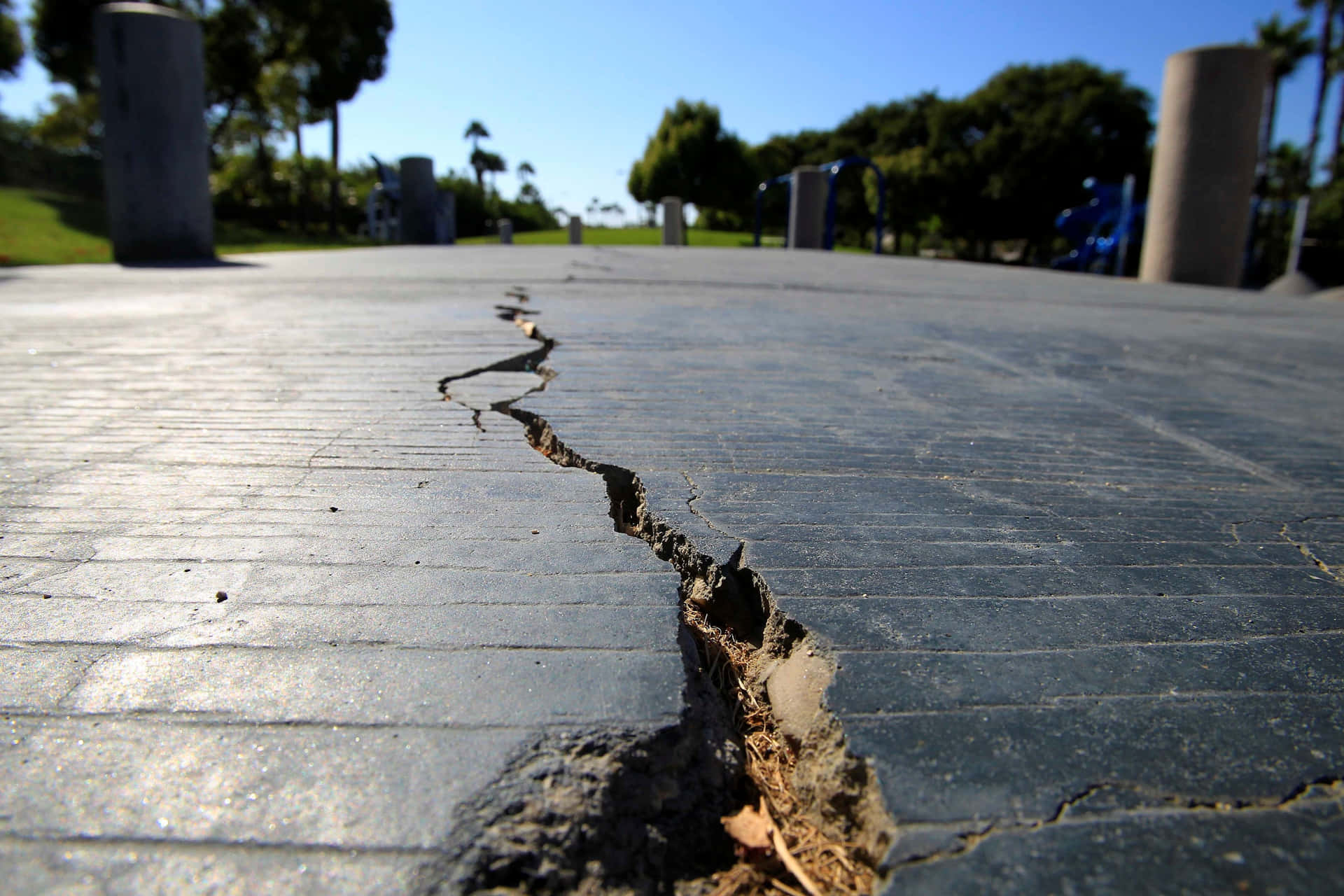 A Crack In The Pavement