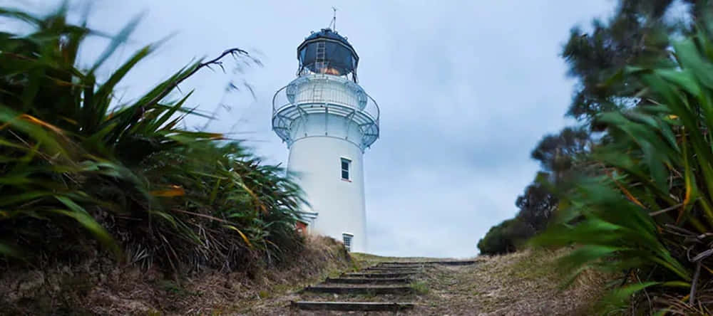 East Cape Vuurtoren Gisborne Nieuw-zeeland Achtergrond