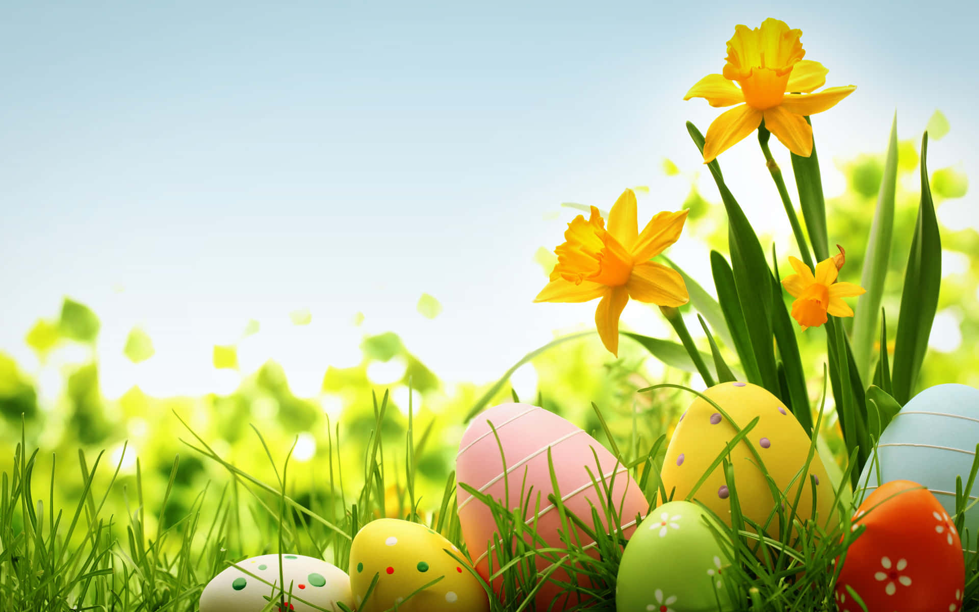 Easter Eggs With Yellow Flower Plant Background