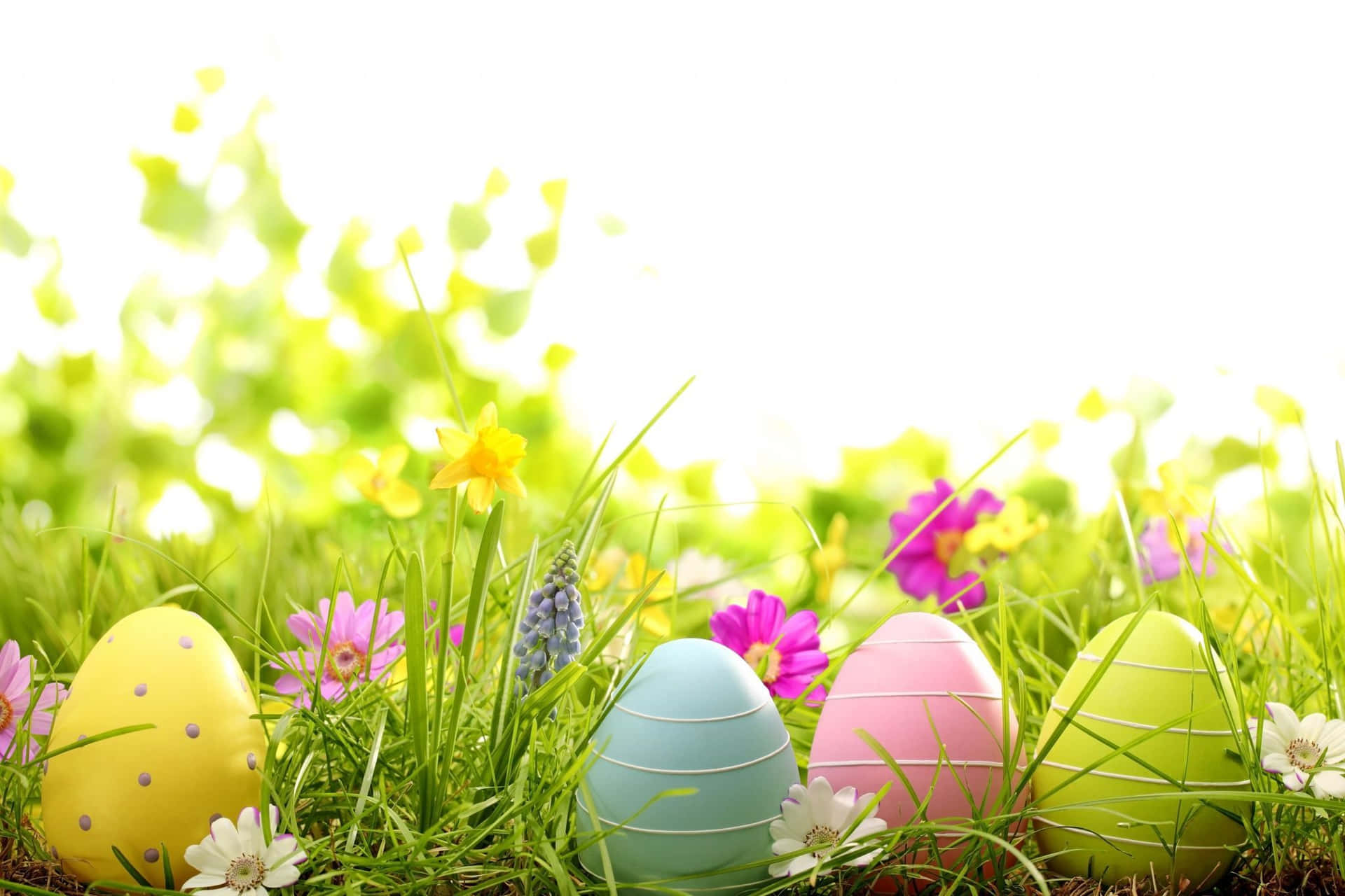 Yellow And Green Easter Eggs Background
