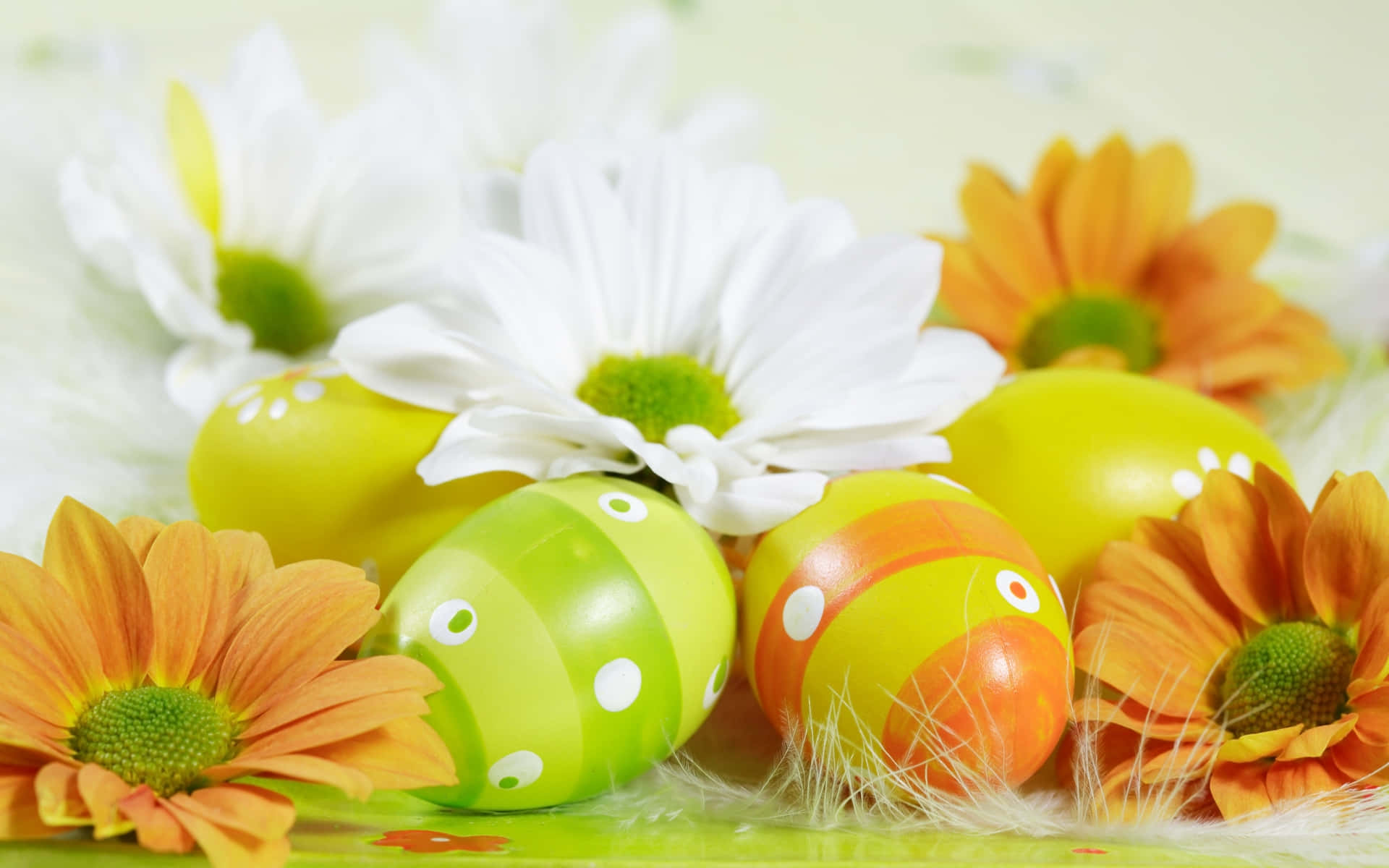 Green And Orange Easter Eggs Background