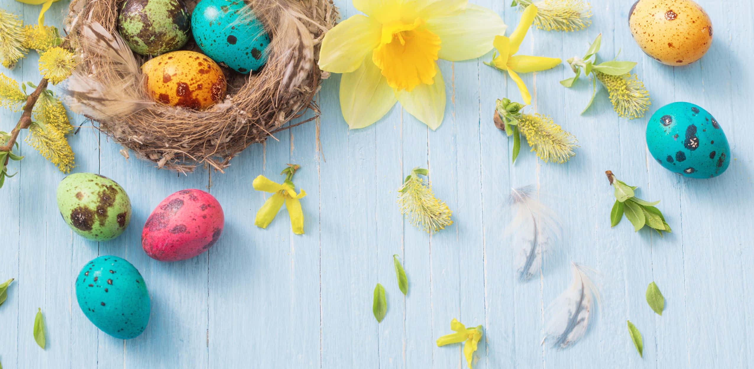 Small Easter Eggs On Bird Nest Background