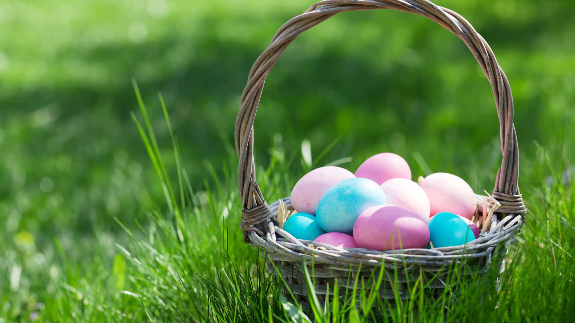 An Easter Basket filled with brightly decorated eggs and fun treats to celebrate the holiday. Wallpaper