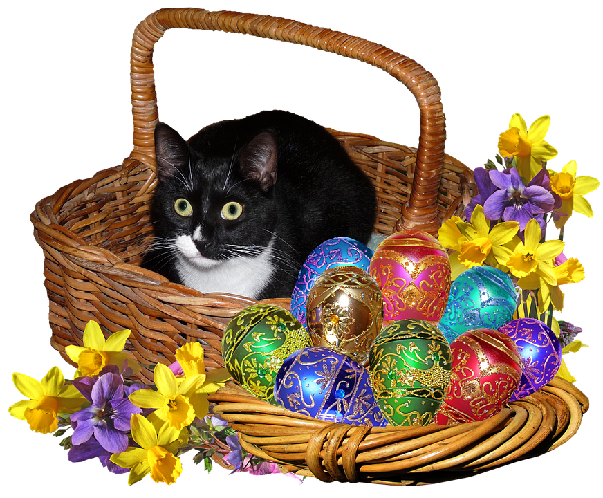 Easter Basket Catand Decorated Eggs PNG