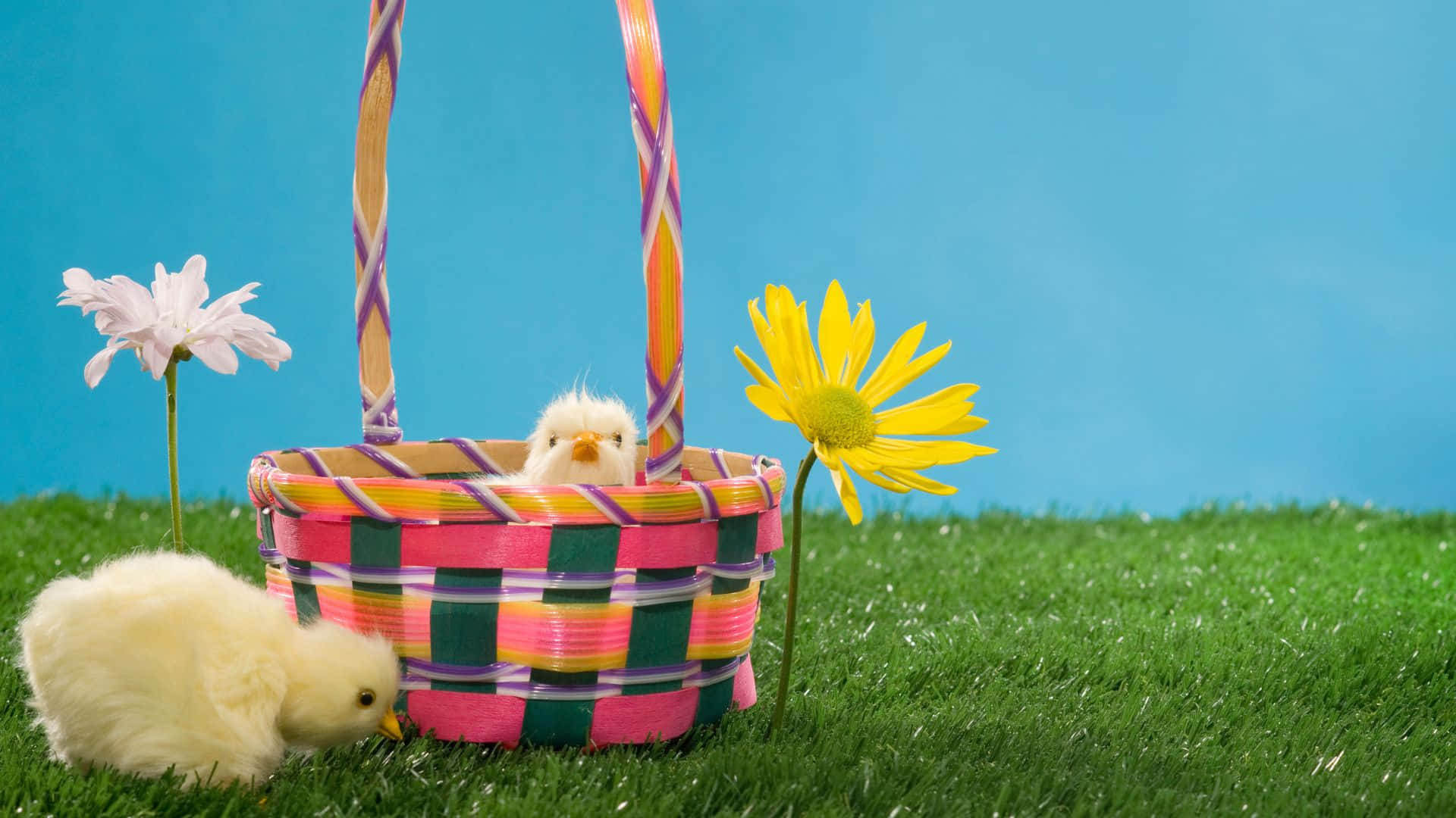 Easter Basket With Chicks And Flowers Wallpaper