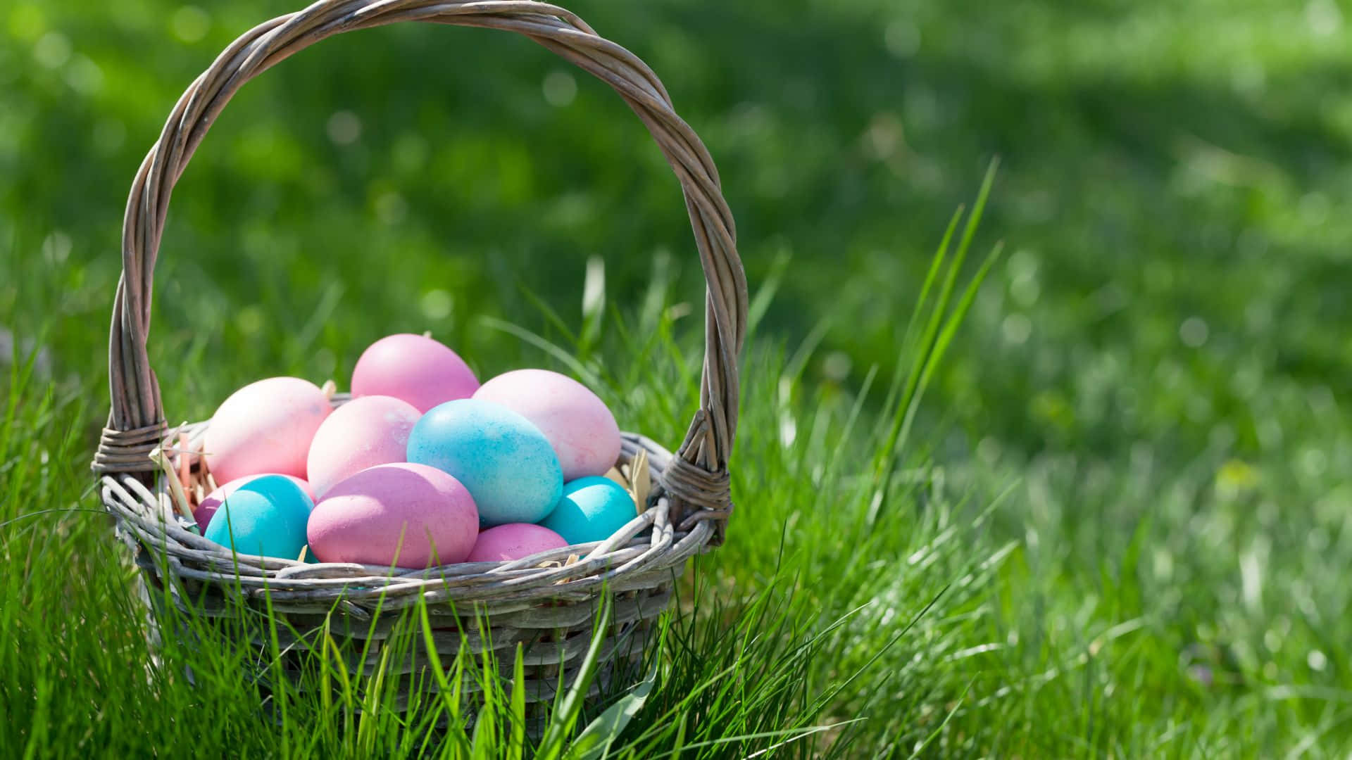 Celebrate Easter with a colorful basket of treats! Wallpaper