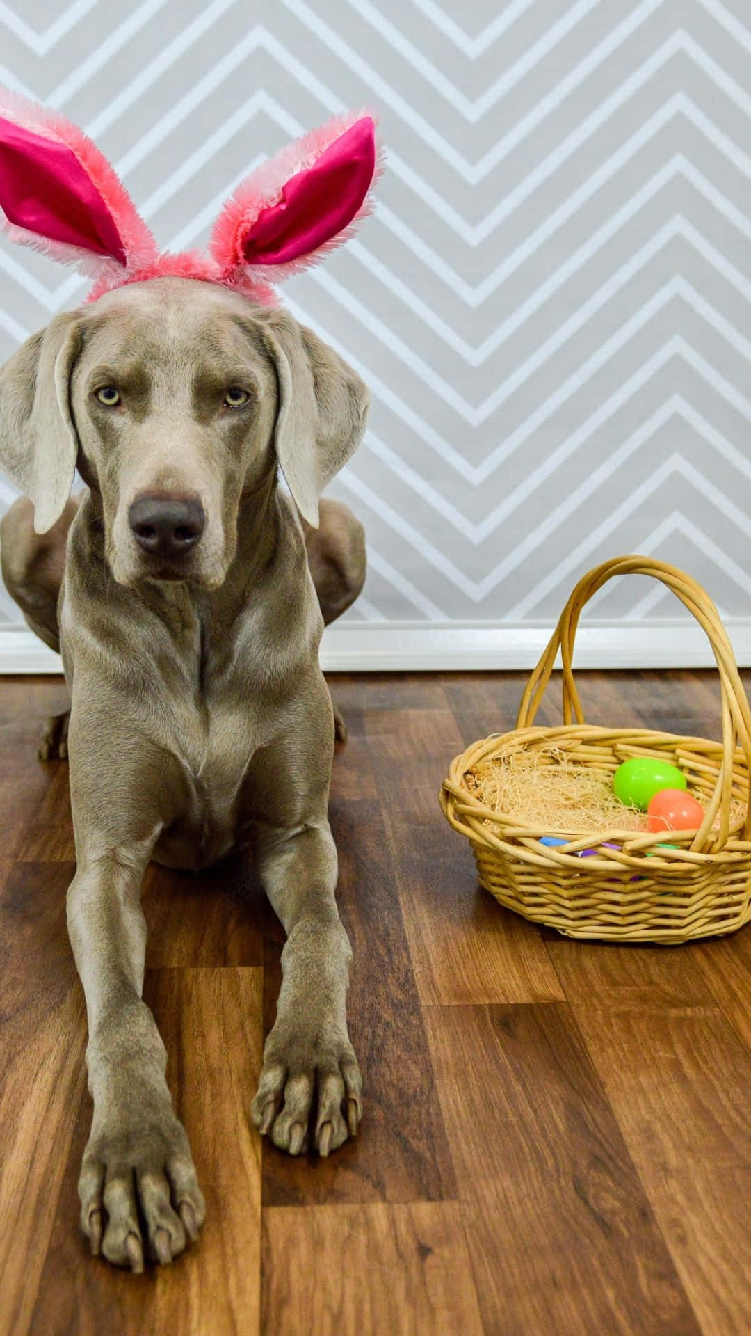 A Colorful Easter Basket filled with Treats Wallpaper