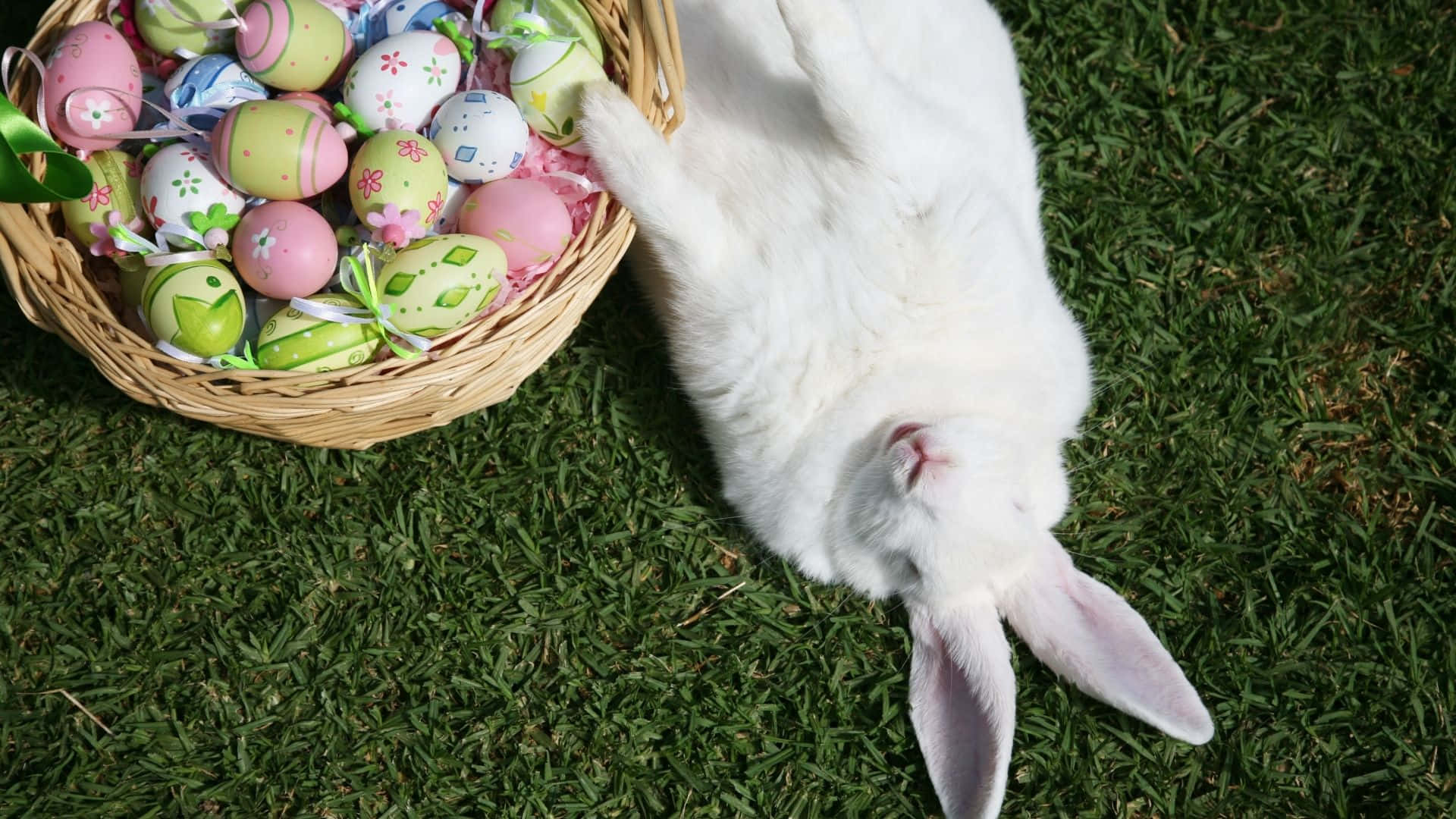 ¡celebrala Pascua Con El Conejo De Pascua! Fondo de pantalla
