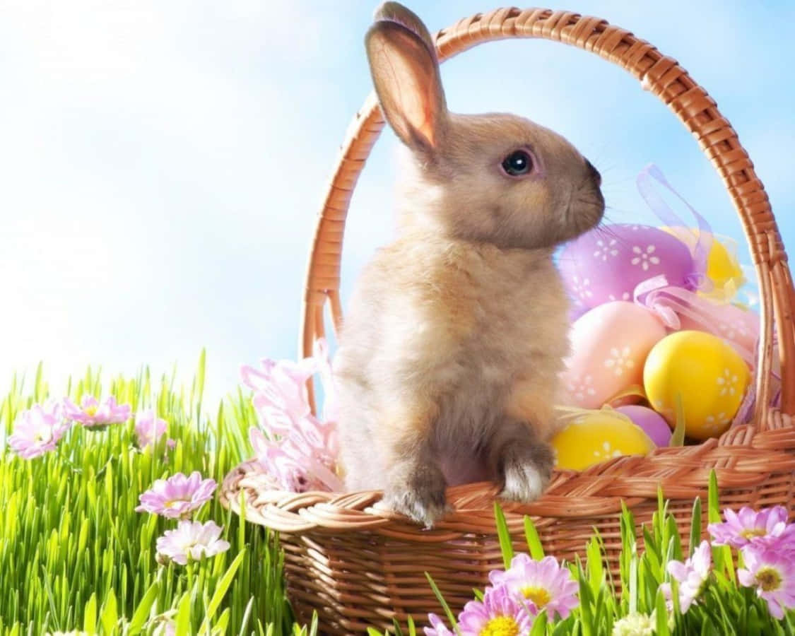 Awesome Easter Bunny Picture