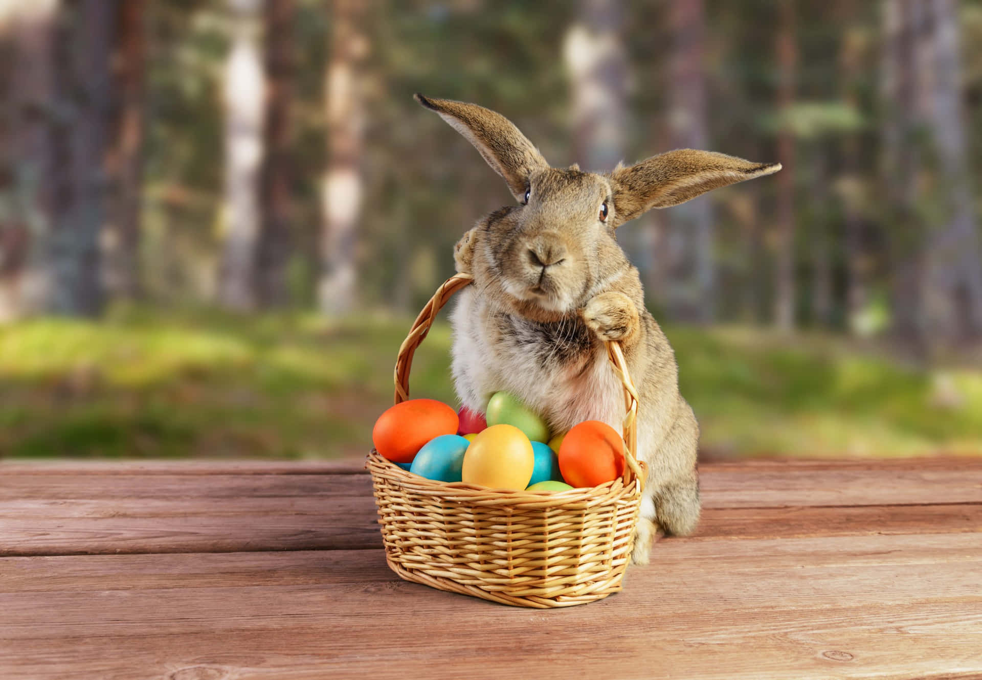 Imagendel Conejo De Pascua Llevando Una Canasta De Huevos