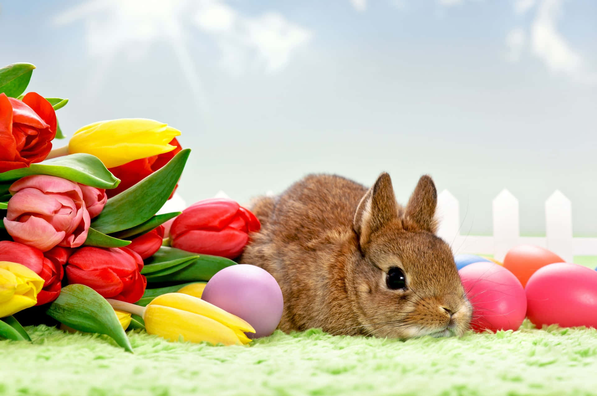 Conigliodi Pasqua Vicino All'immagine Di Tulipani E Uova