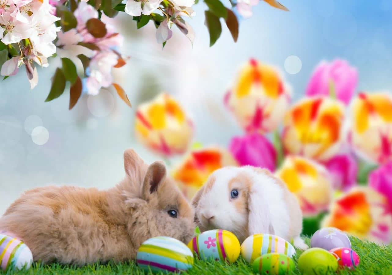Enchanting Easter Bunny Picture