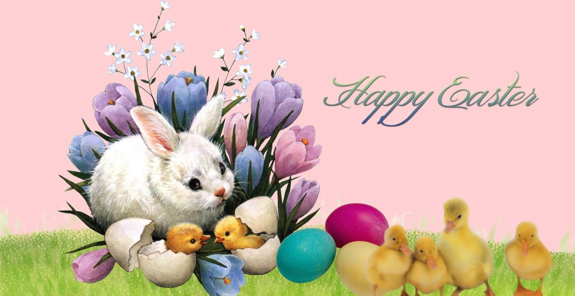 Immaginedi Coniglietto Di Pasqua E Pulcini