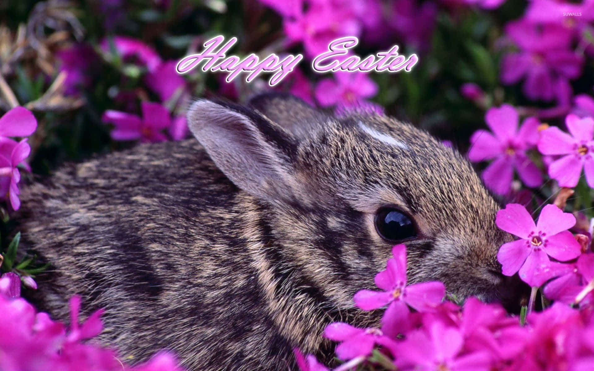 Easter Bunny On Purple Flowers Picture