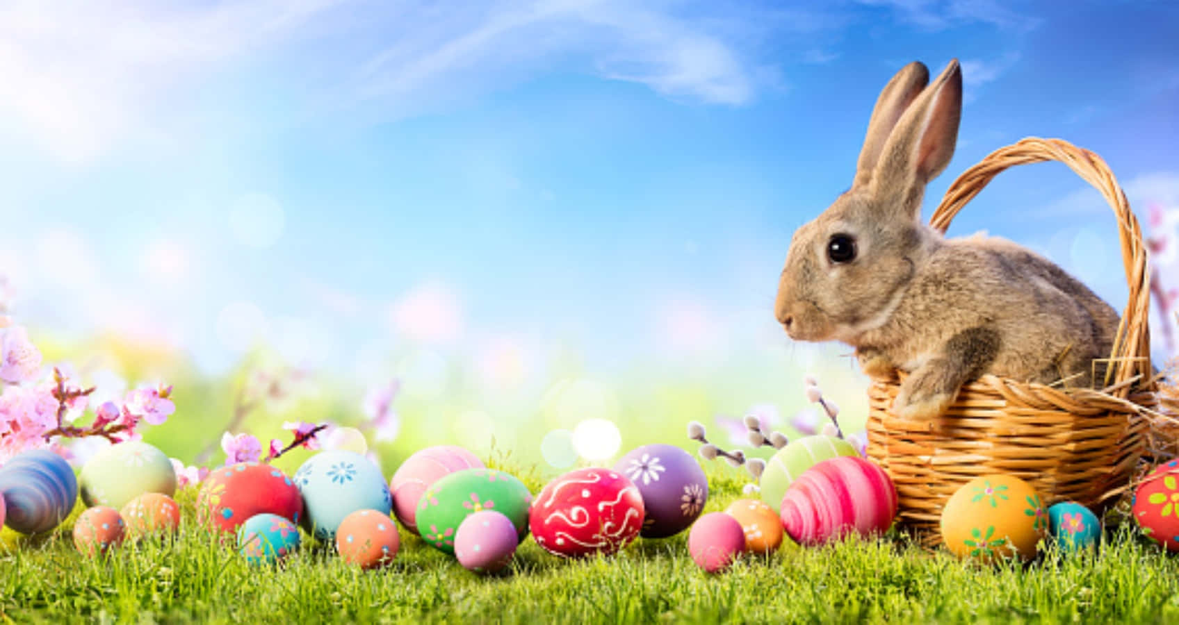 Spettacolareimmagine Del Coniglio Di Pasqua