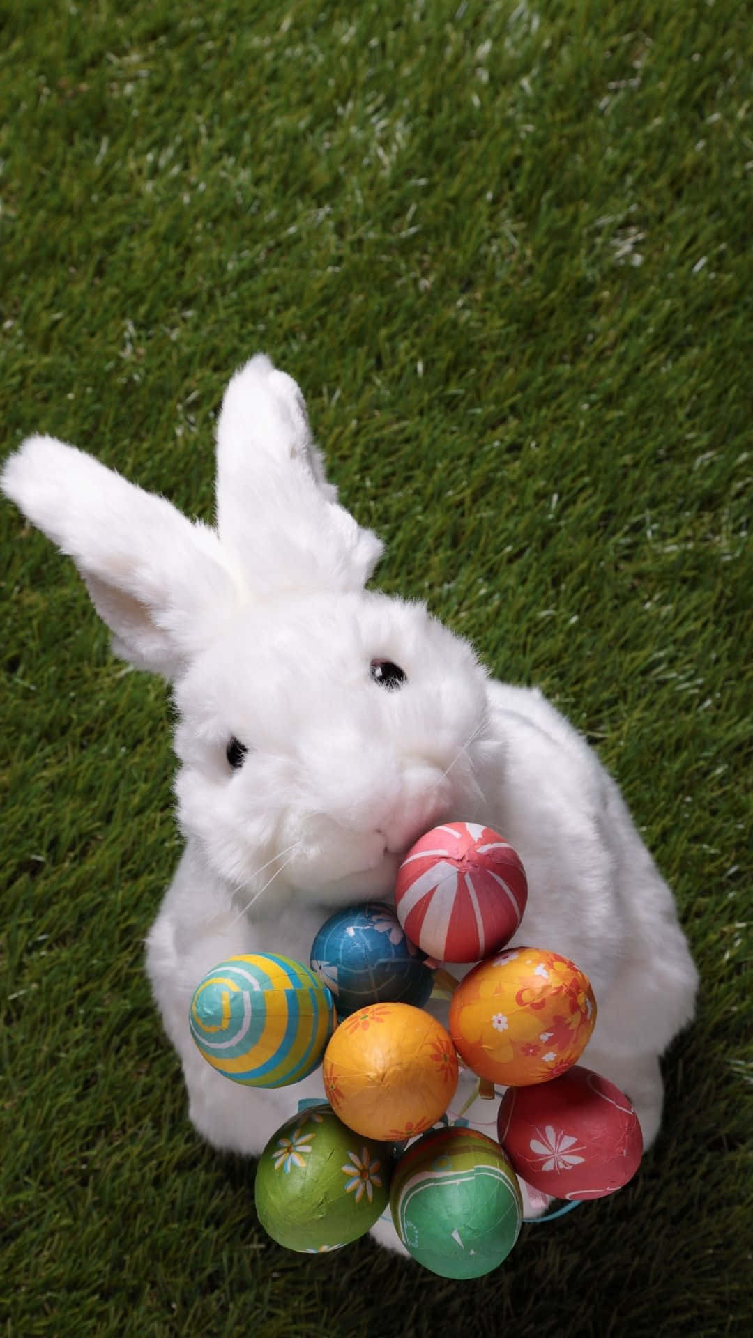 Unlindo Conejo De Pascua Justo A Tiempo Para Las Vacaciones. Fondo de pantalla