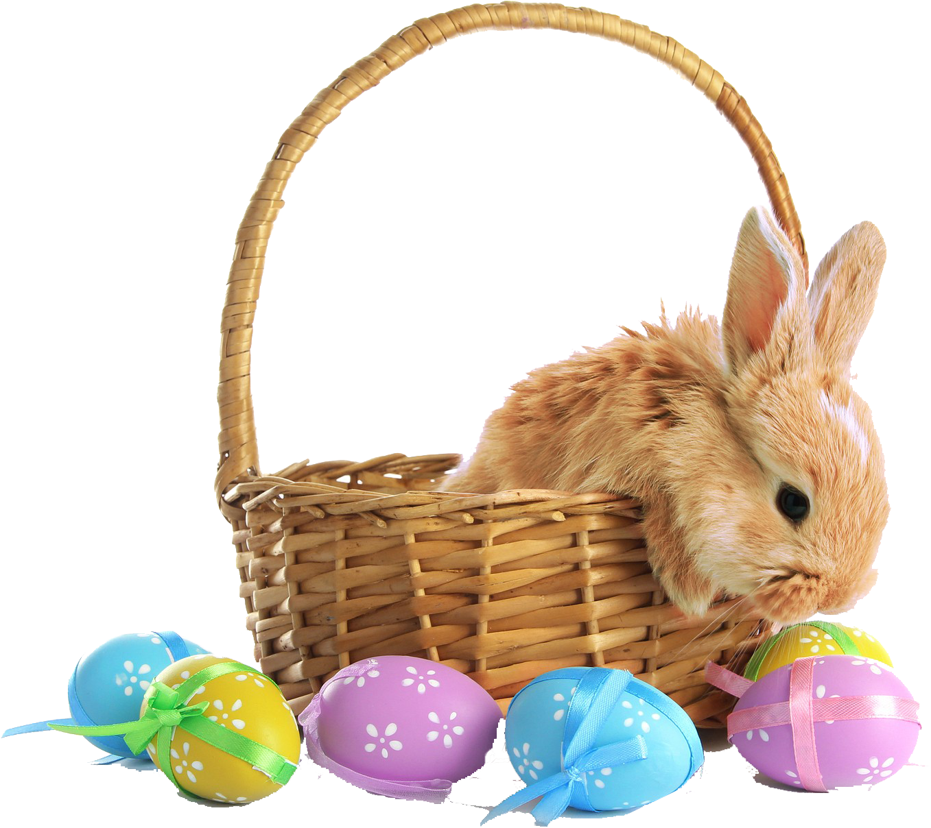 Easter Bunnyin Basketwith Decorated Eggs.png PNG