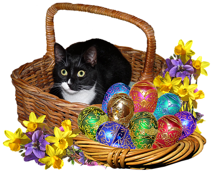 Easter Catin Basketwith Decorated Eggsand Flowers PNG