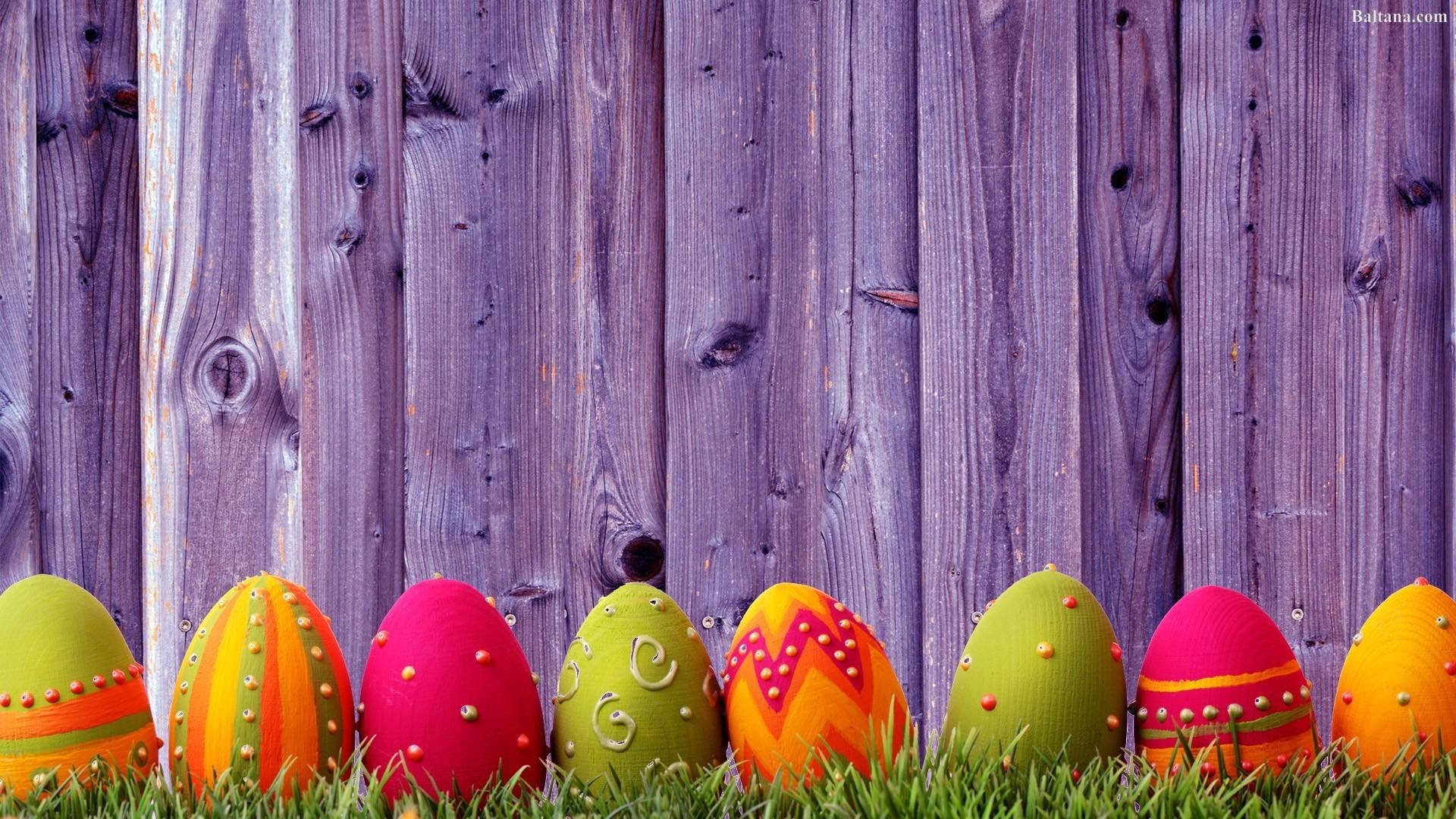 Easter Desktop Eggs On Wall Wallpaper