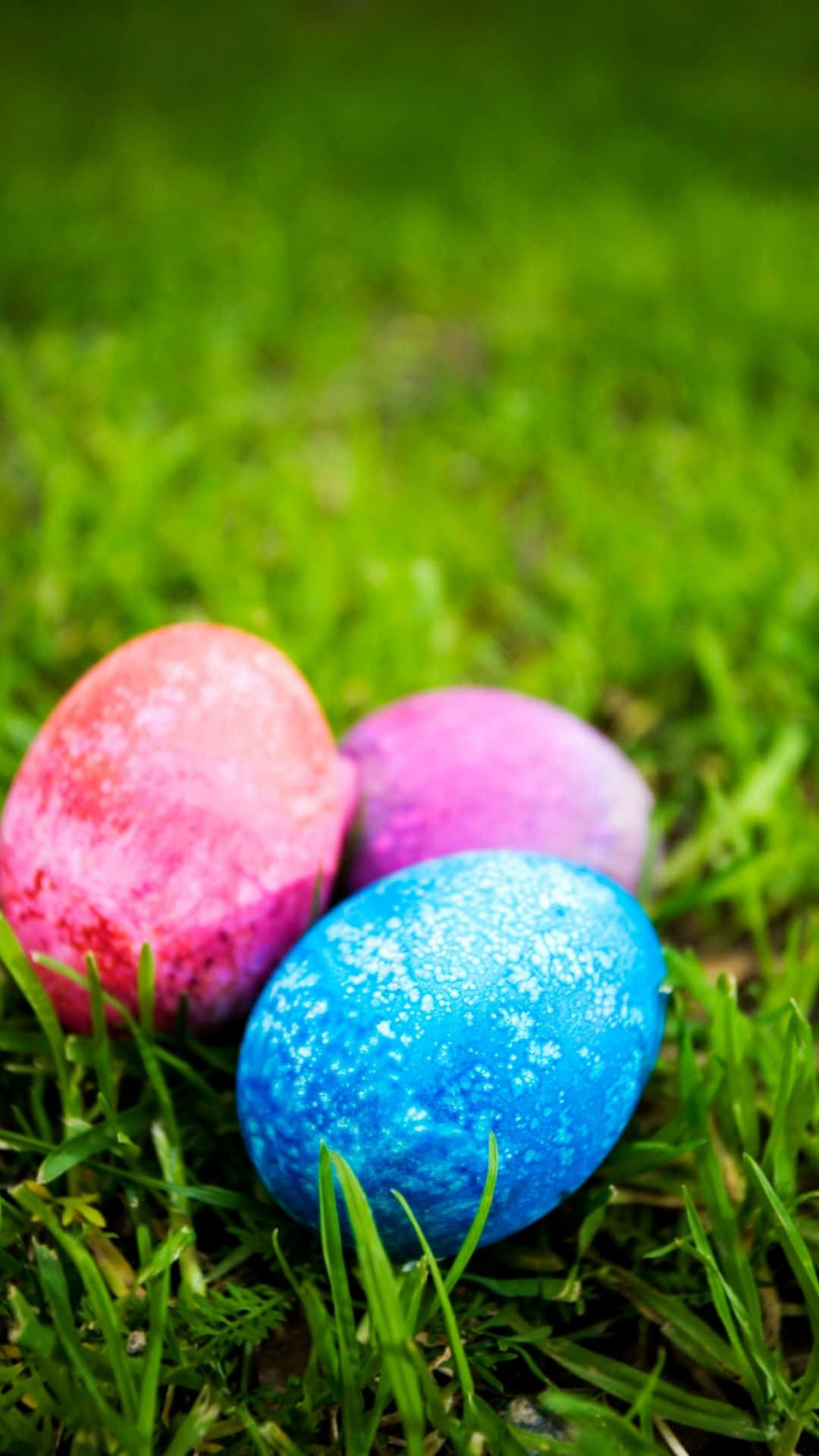 Easter Egg On Grass Background