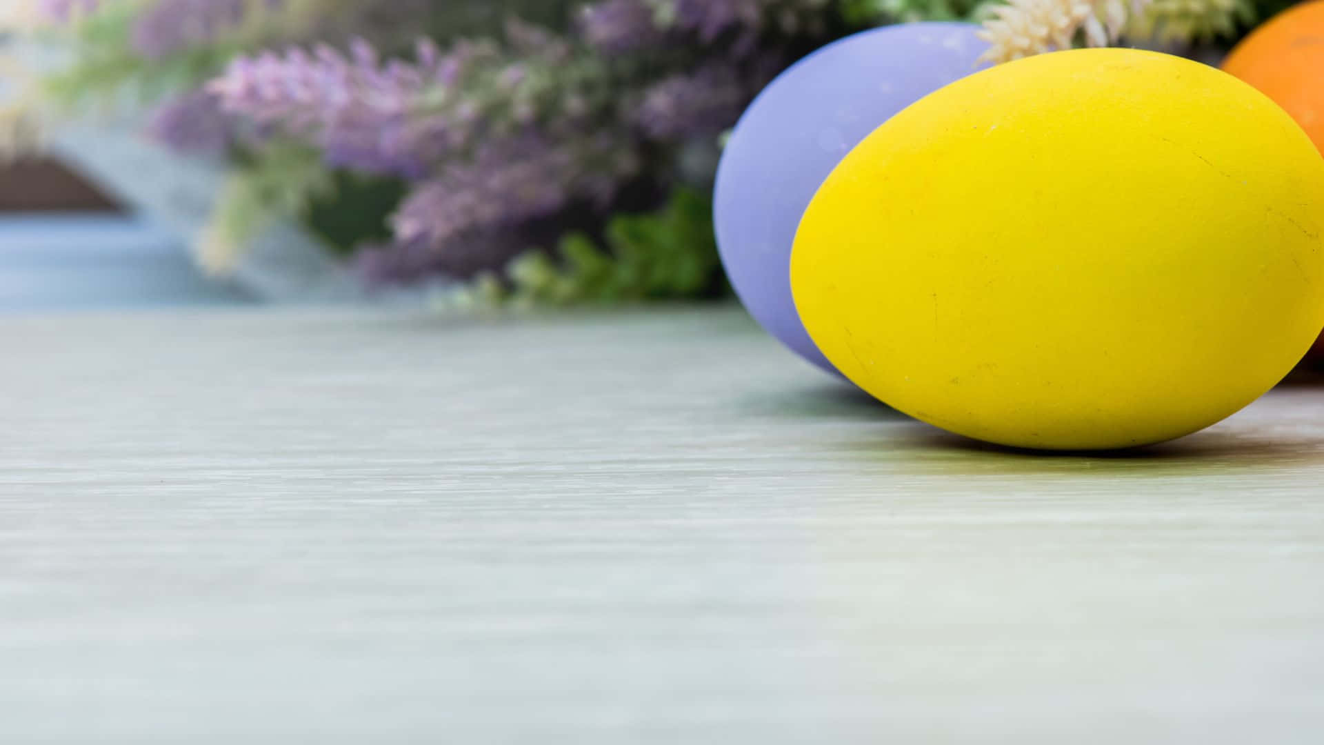 Easter Egg Against Blurry Background