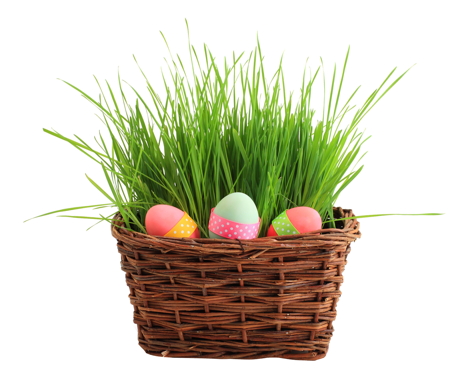 Easter Egg Basketwith Grass PNG