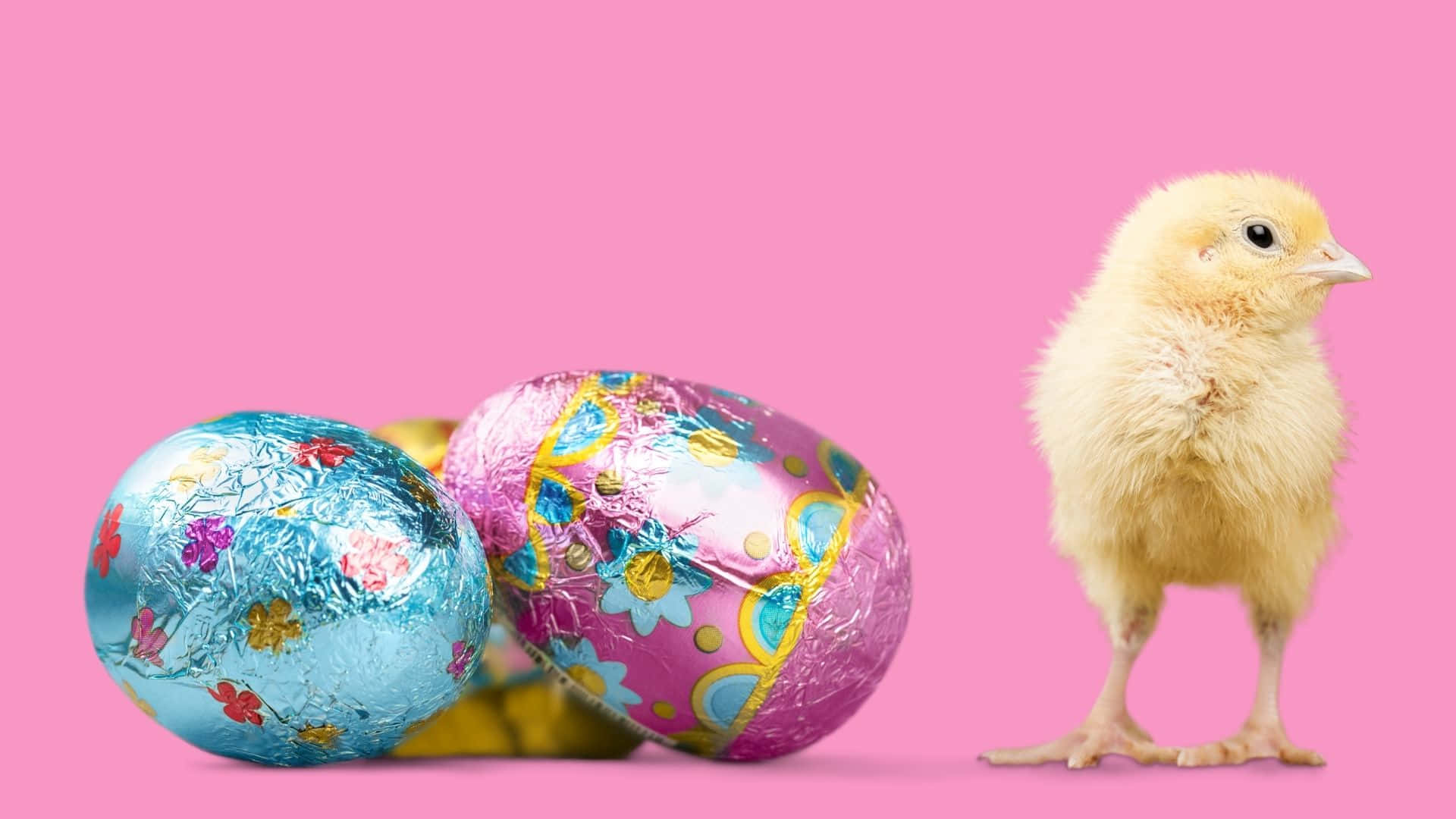 ¡unhuevo De Pascua Listo Para Ser Descubierto! Fondo de pantalla