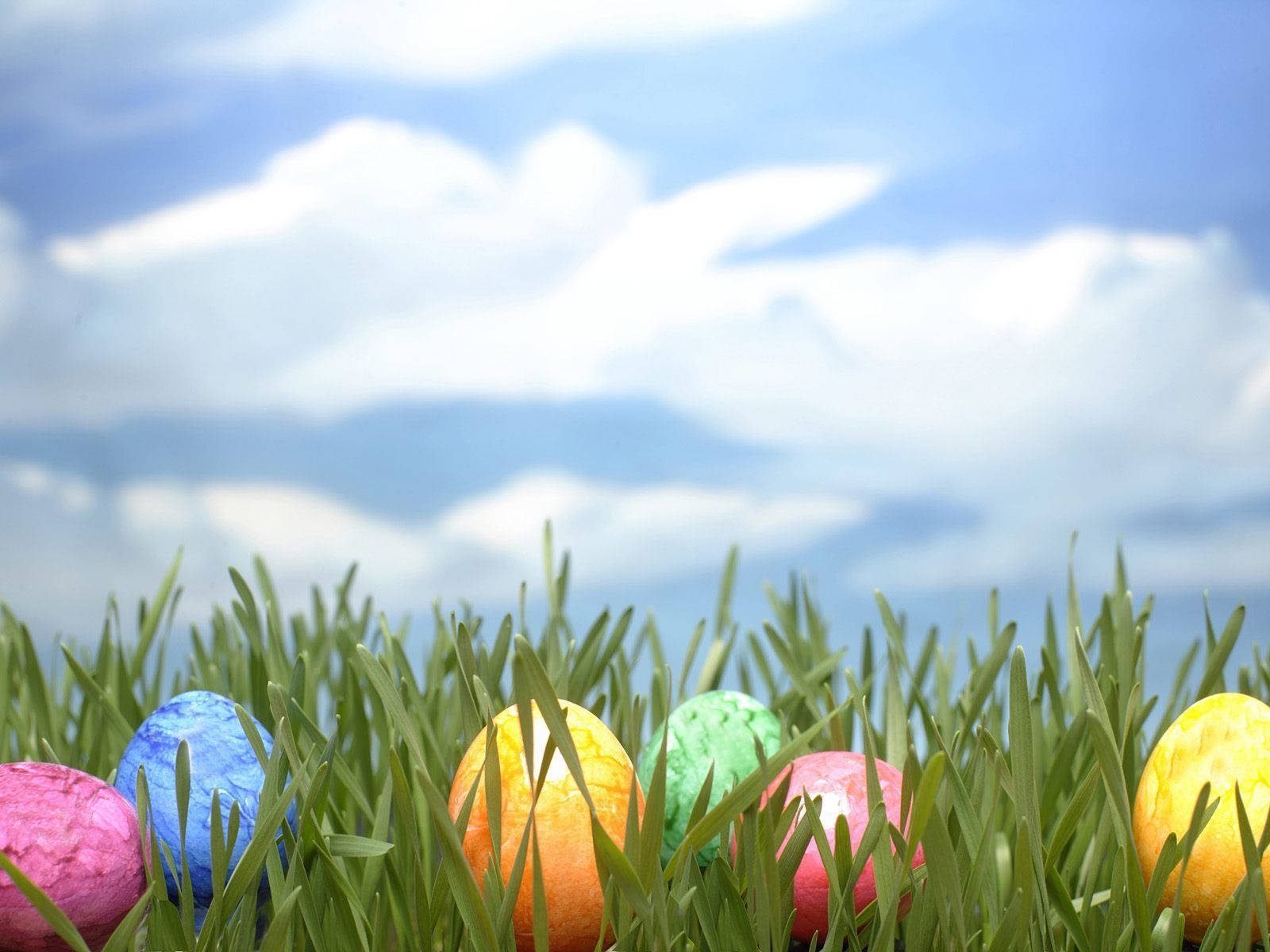 Download Kids having fun at an Easter egg hunt Wallpaper