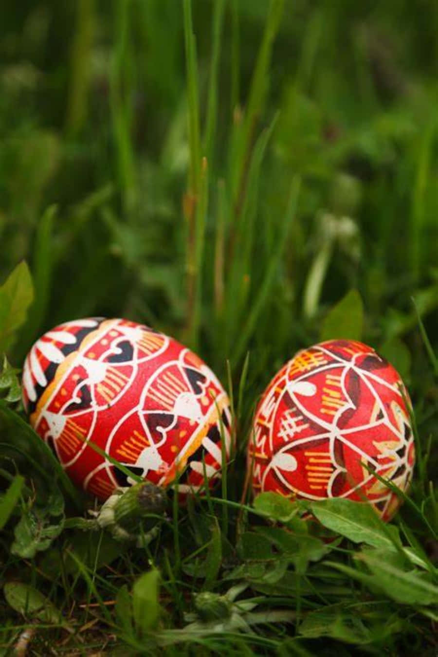Tribal Easter Egg Design Picture