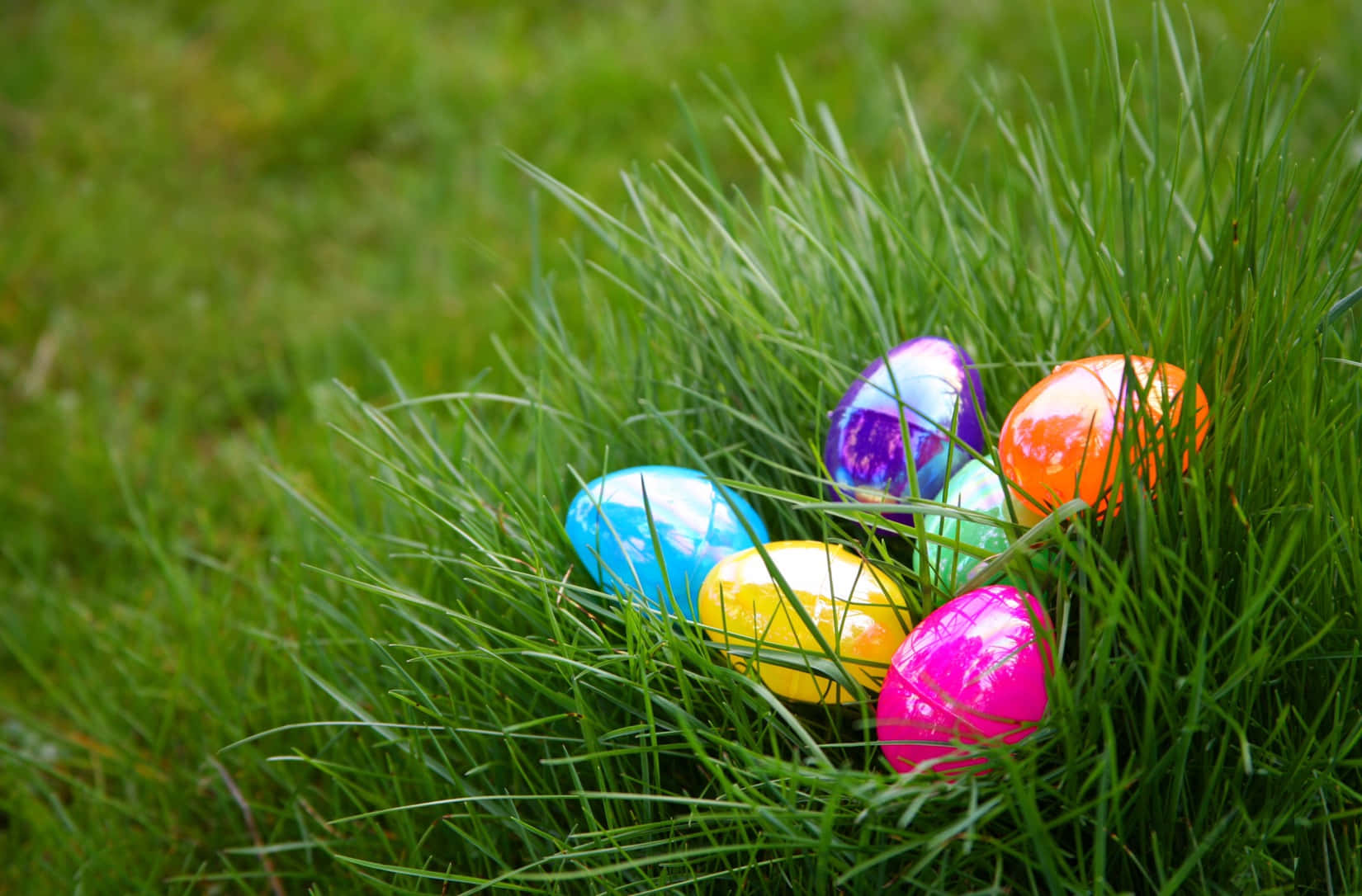 Easter Egg On The Grass Picture