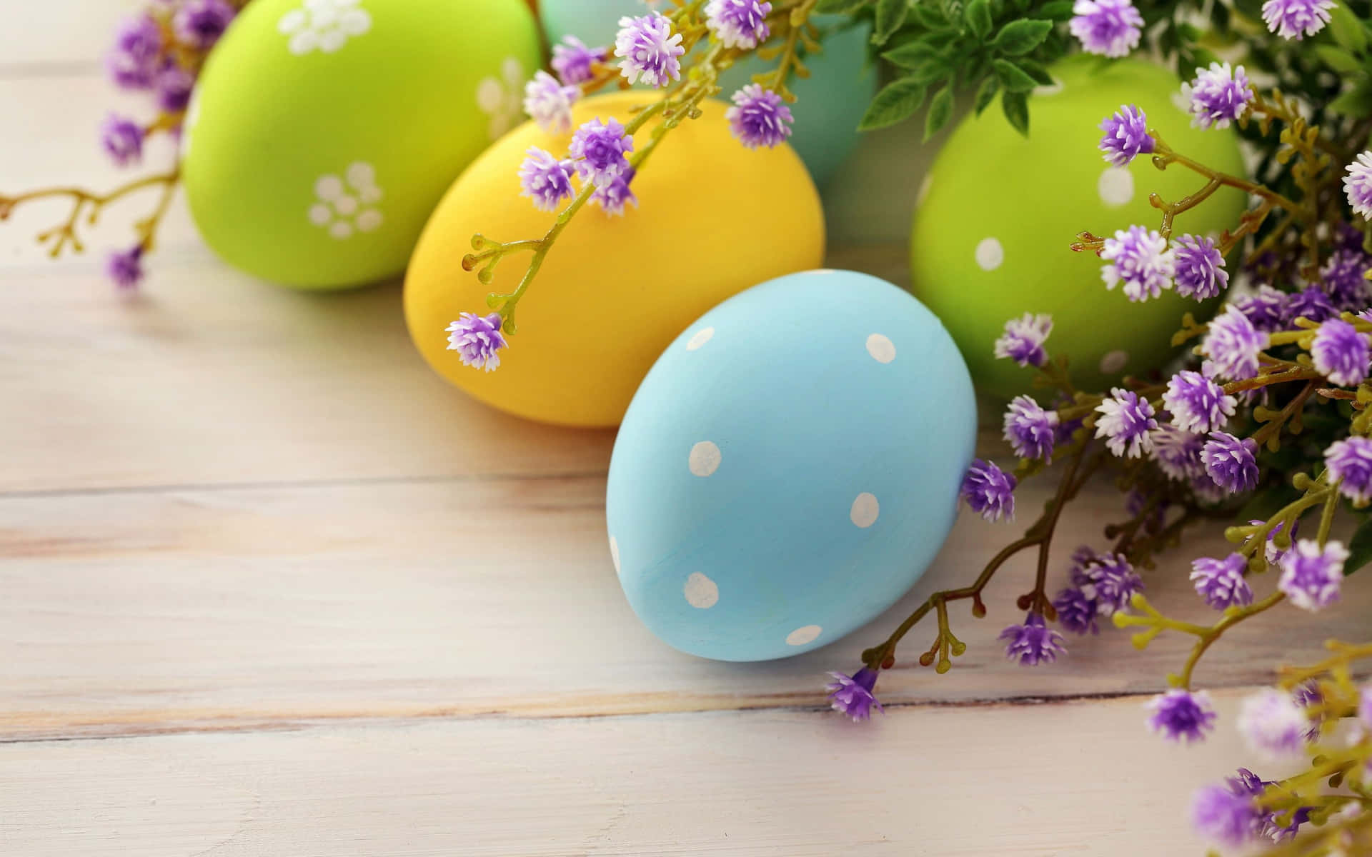 Smukke påske æg ved siden af lilla blomster billede tapet