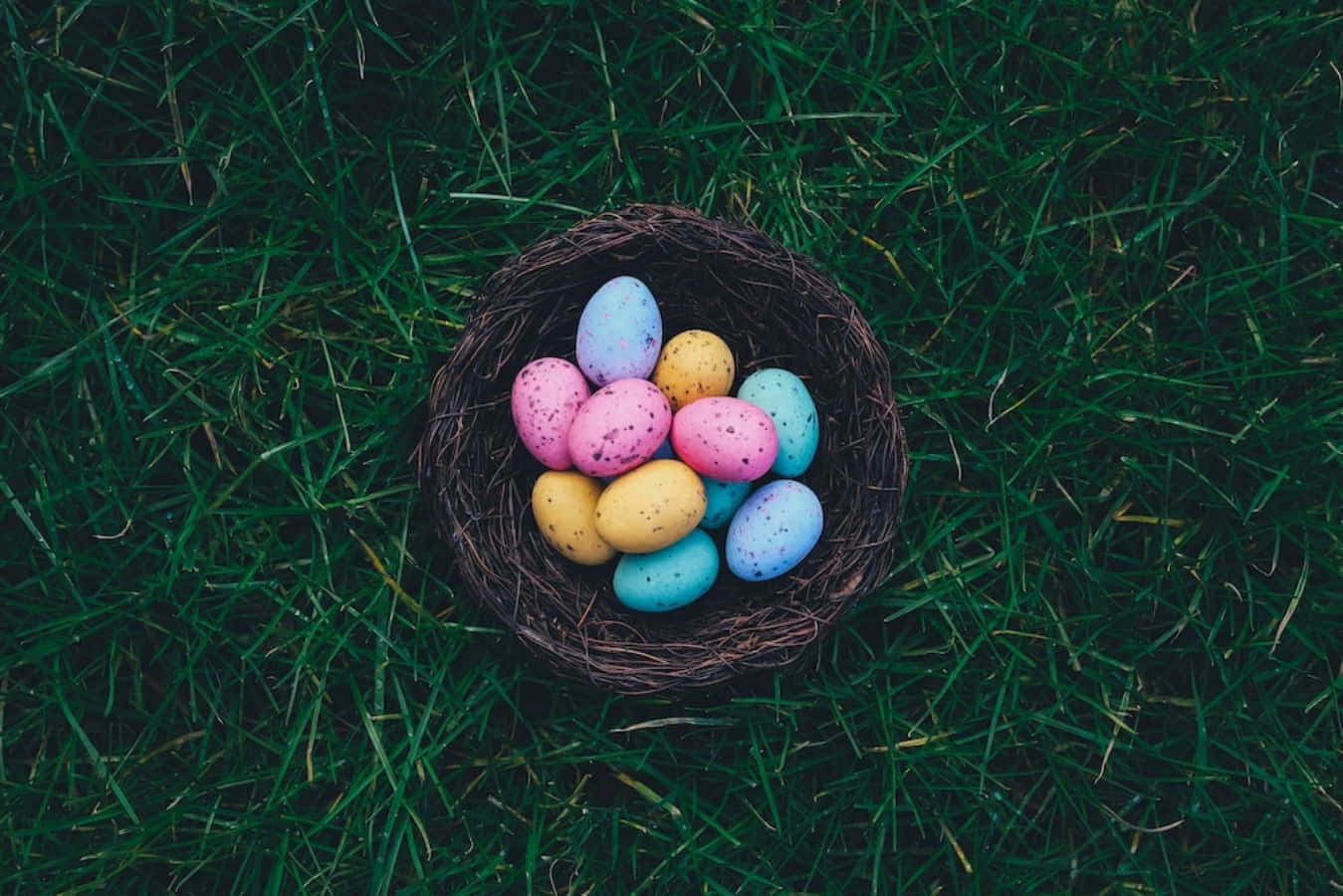 Decoray Celebra La Pascua Con Huevos Divertidos Y Coloridos.