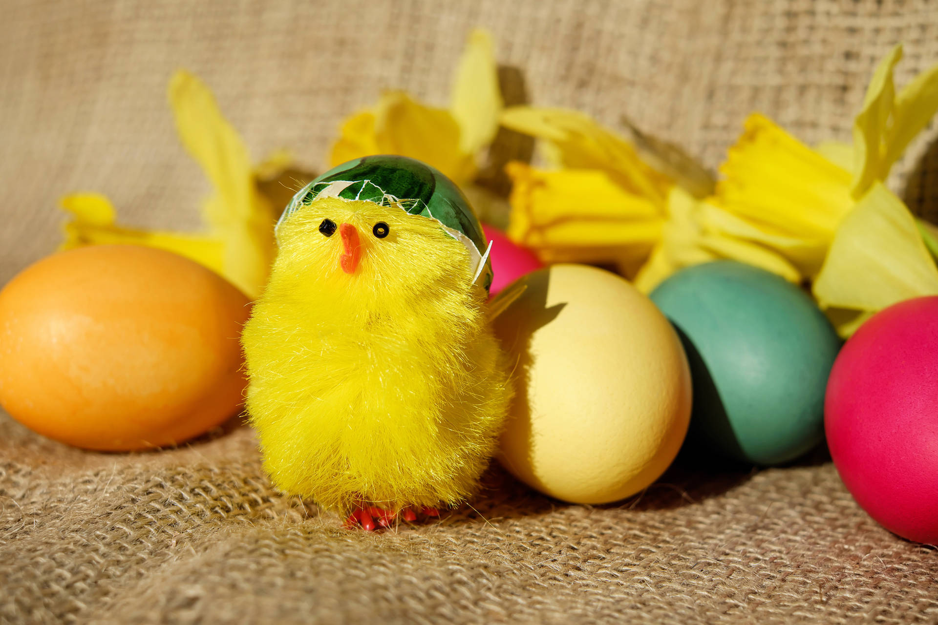 Hop into Spring with Easter eggs and a yellow chick! Wallpaper