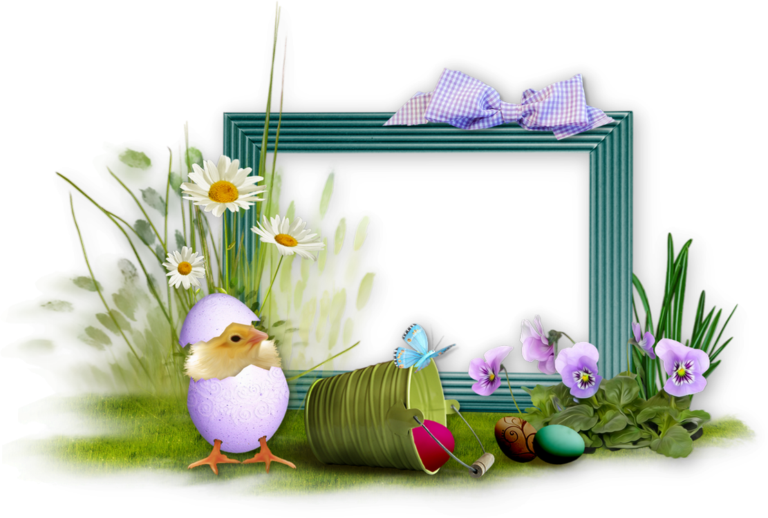 Easter Framewith Chickand Flowers.png PNG