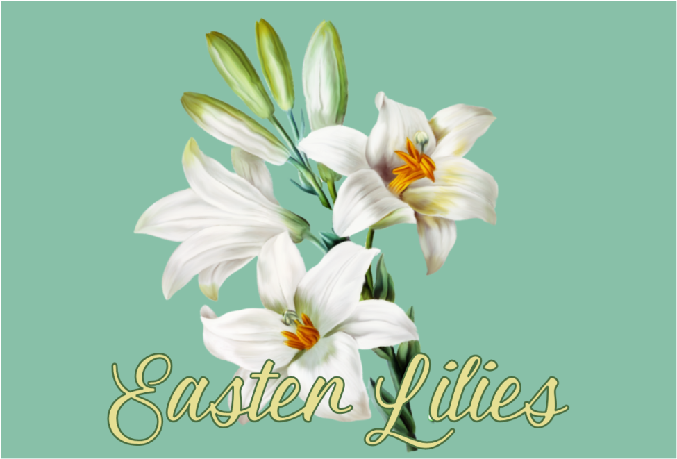 Easter Lilies Floral Graphic PNG